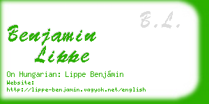 benjamin lippe business card